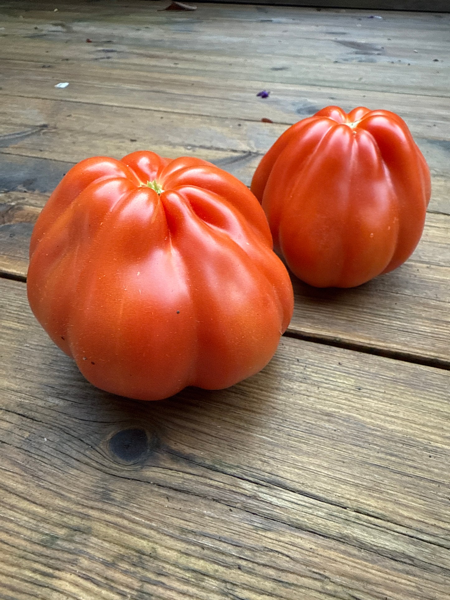 Red Pear Franchi