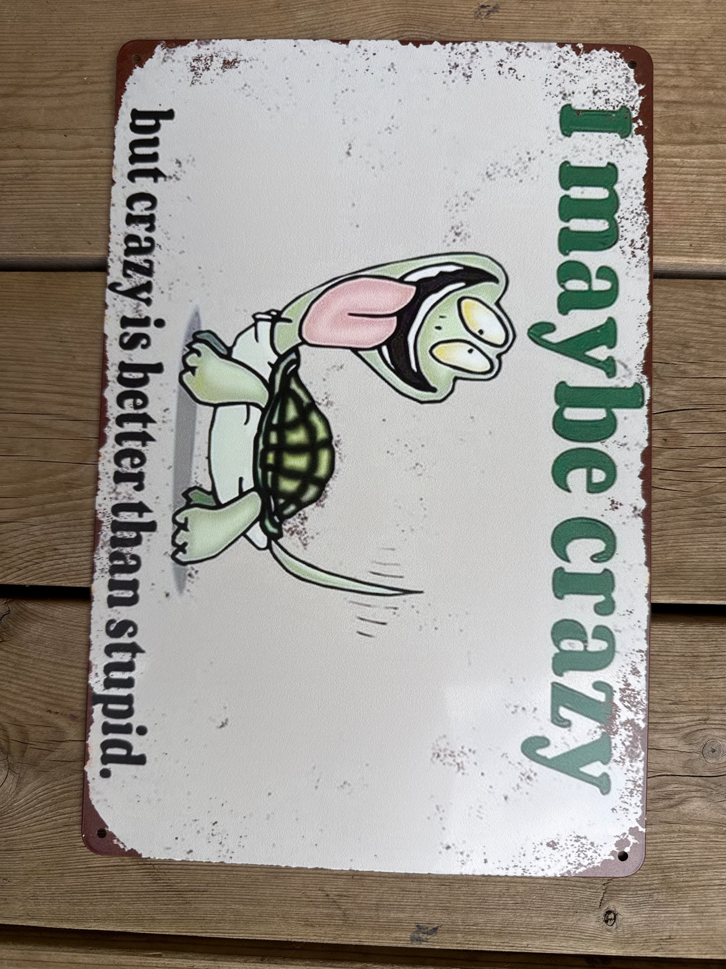 Metallskilt 20*30 cm, I may be crazy, but crazy is better than stupid.