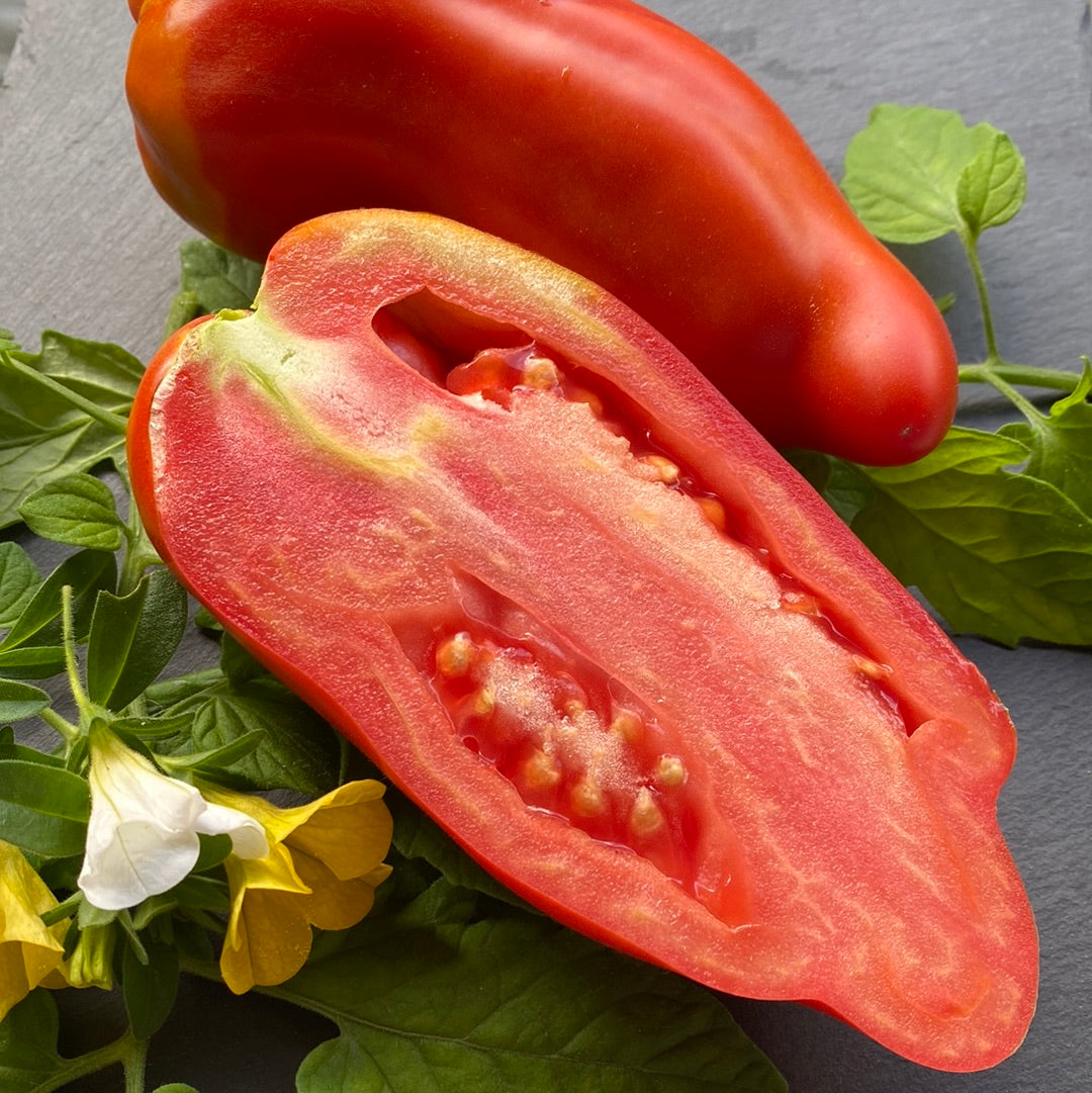 San Marzano Redorta saustomat