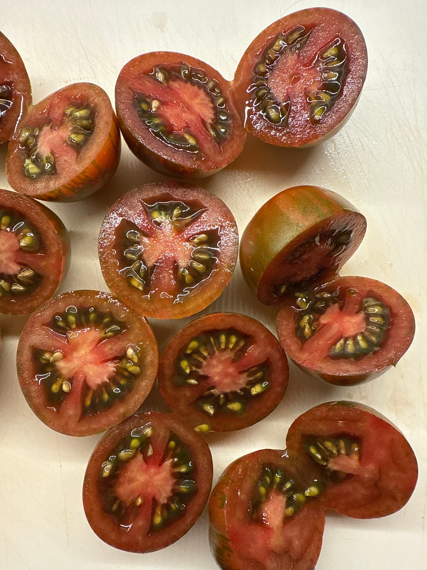 Cherry Zebra