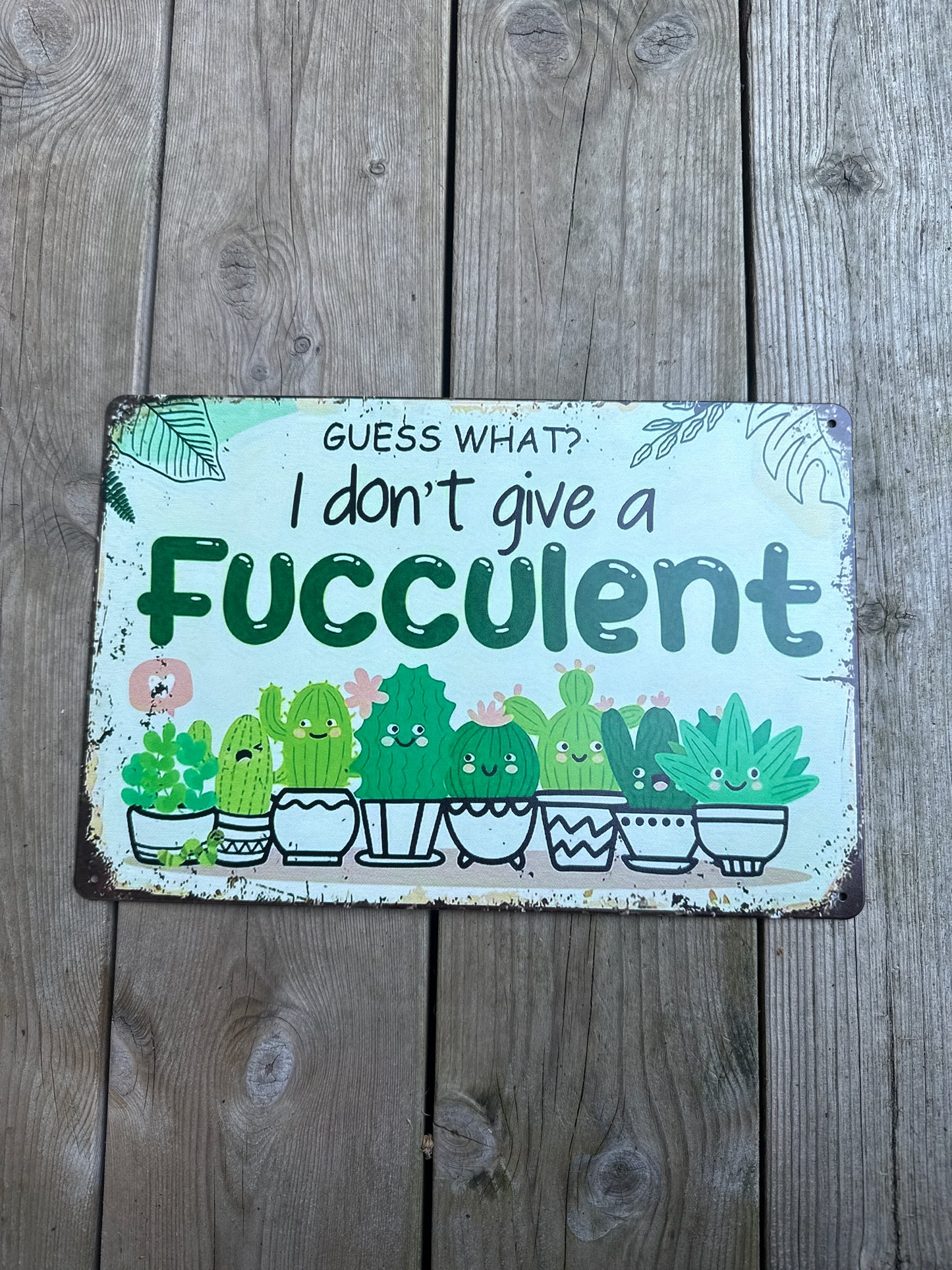 Metallskilt – “Guess what? I don’t give a fucculent”
Størrelse: 20 x 30 cm