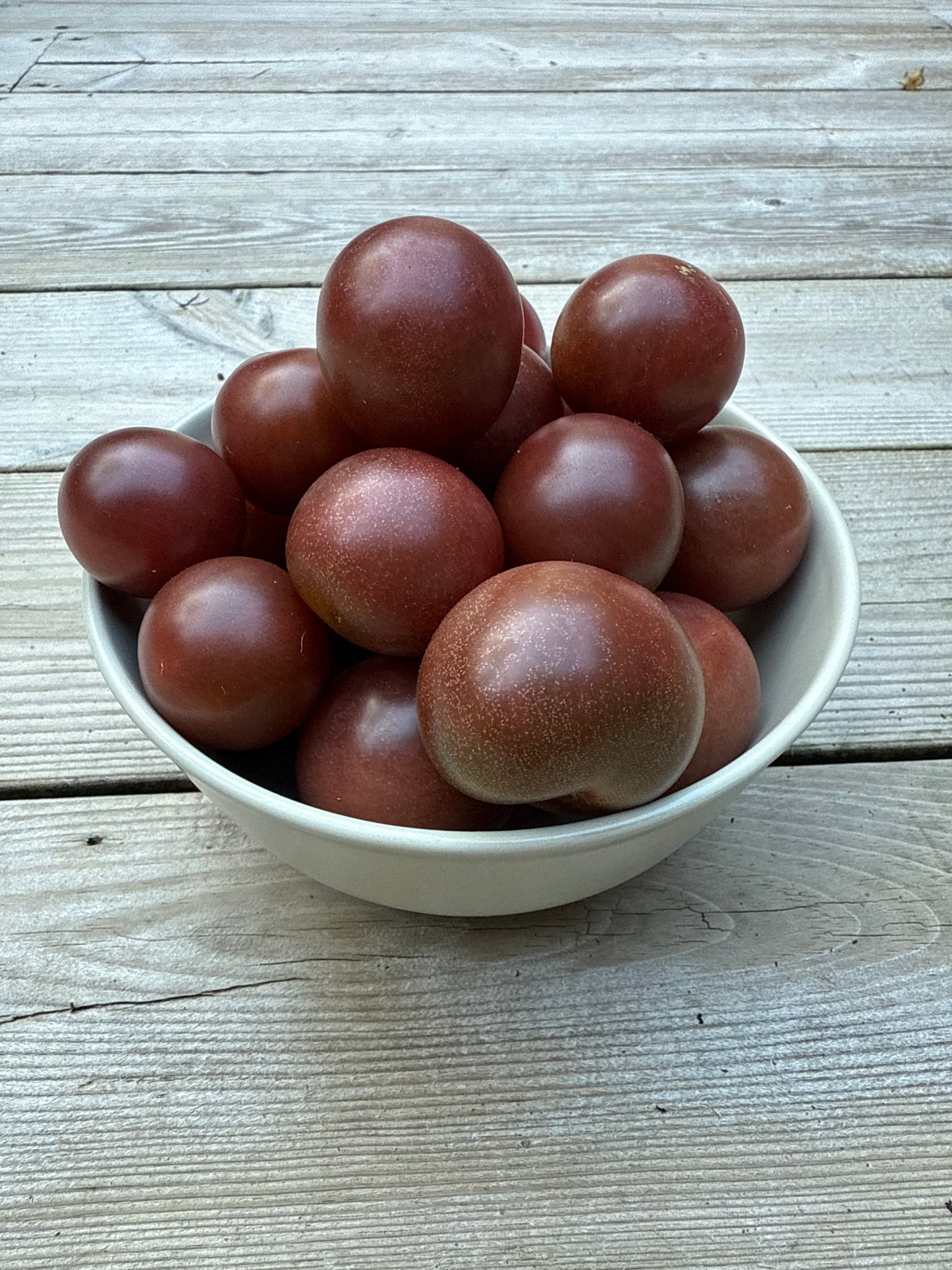 Black Cherry tomat