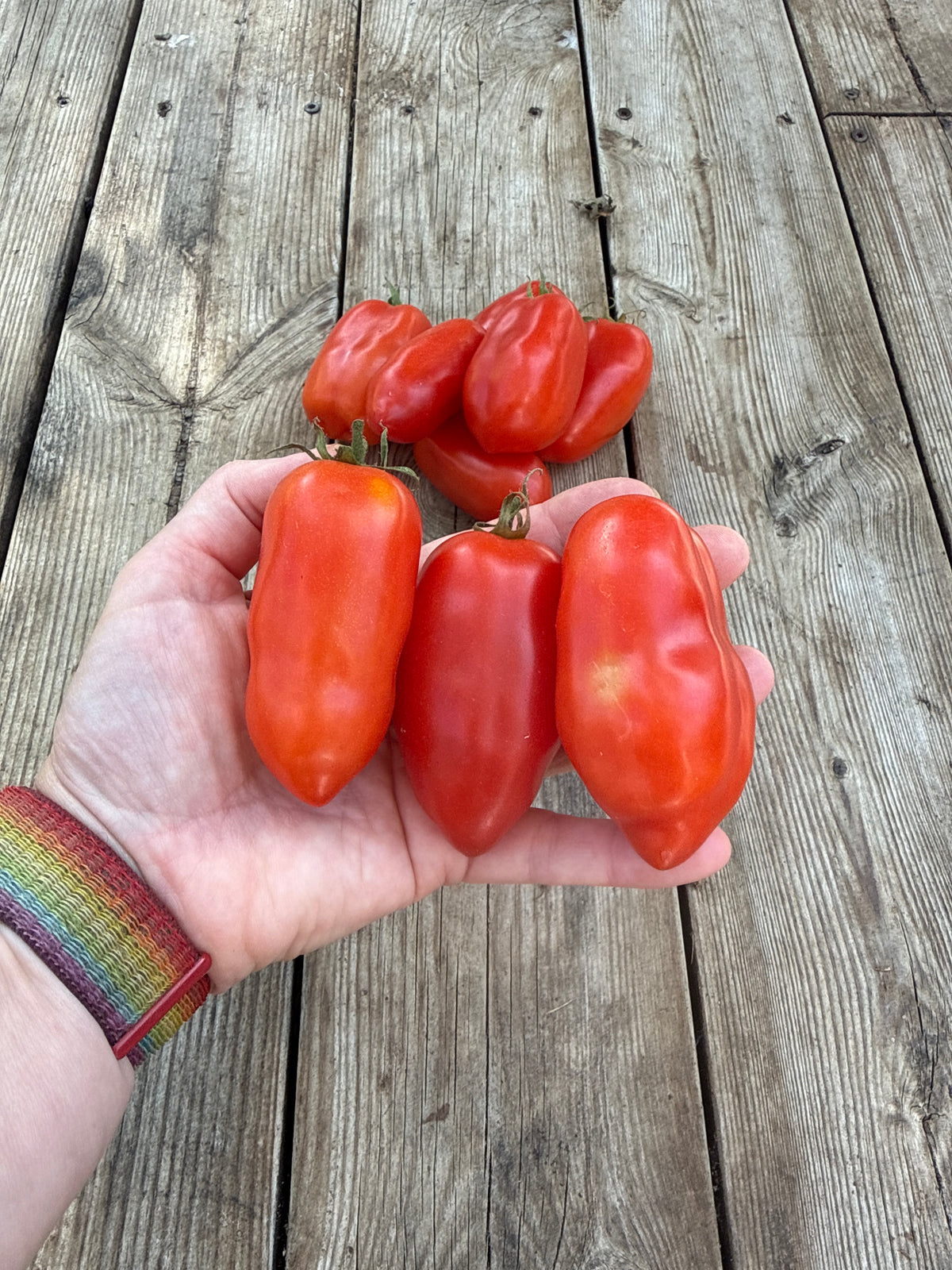 Super San Marzano