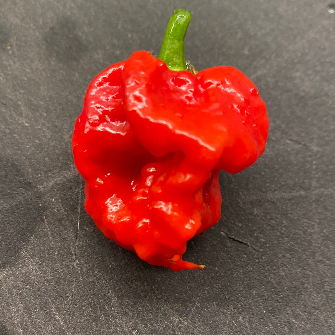 Carolina Reaper red