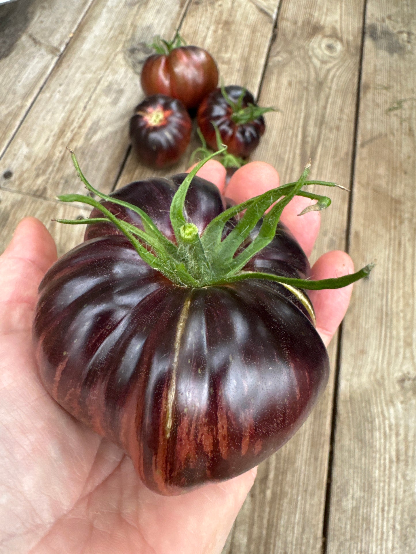 Marsha’s Starfighter Beefsteak