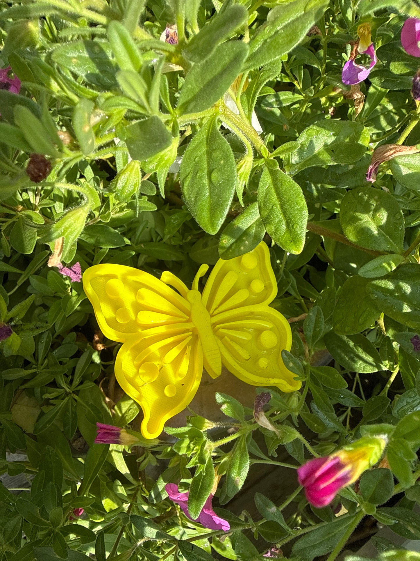 Sommerfuglformet insektmater