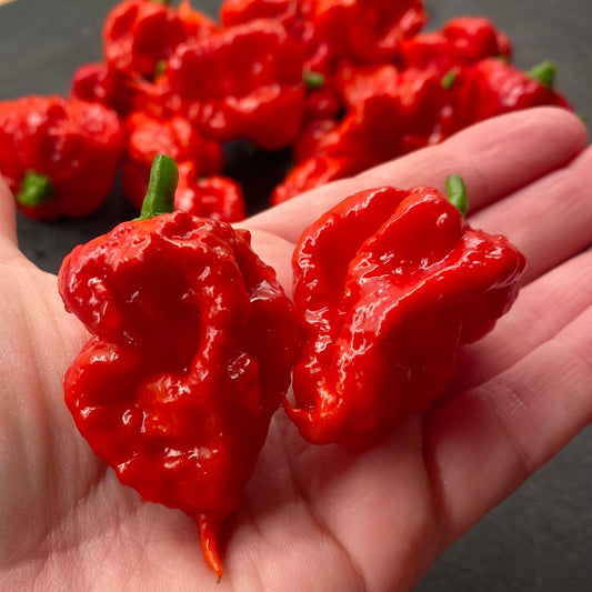 Carolina Reaper red