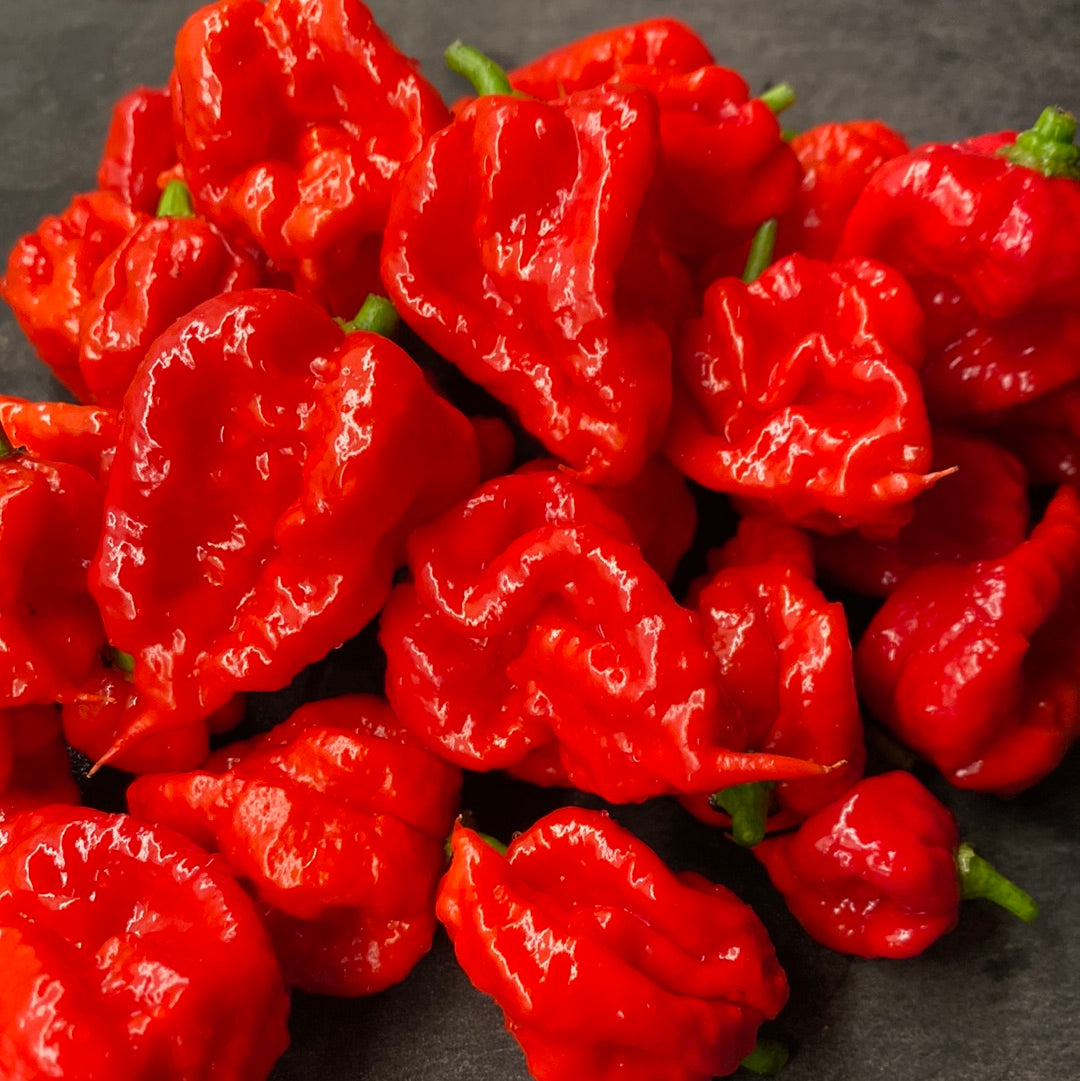 Carolina Reaper red