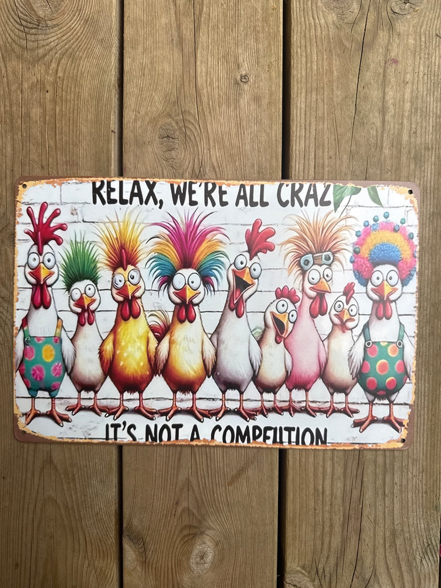 Hageskilt 20*30 cm, Relax,we’re all crazy…
