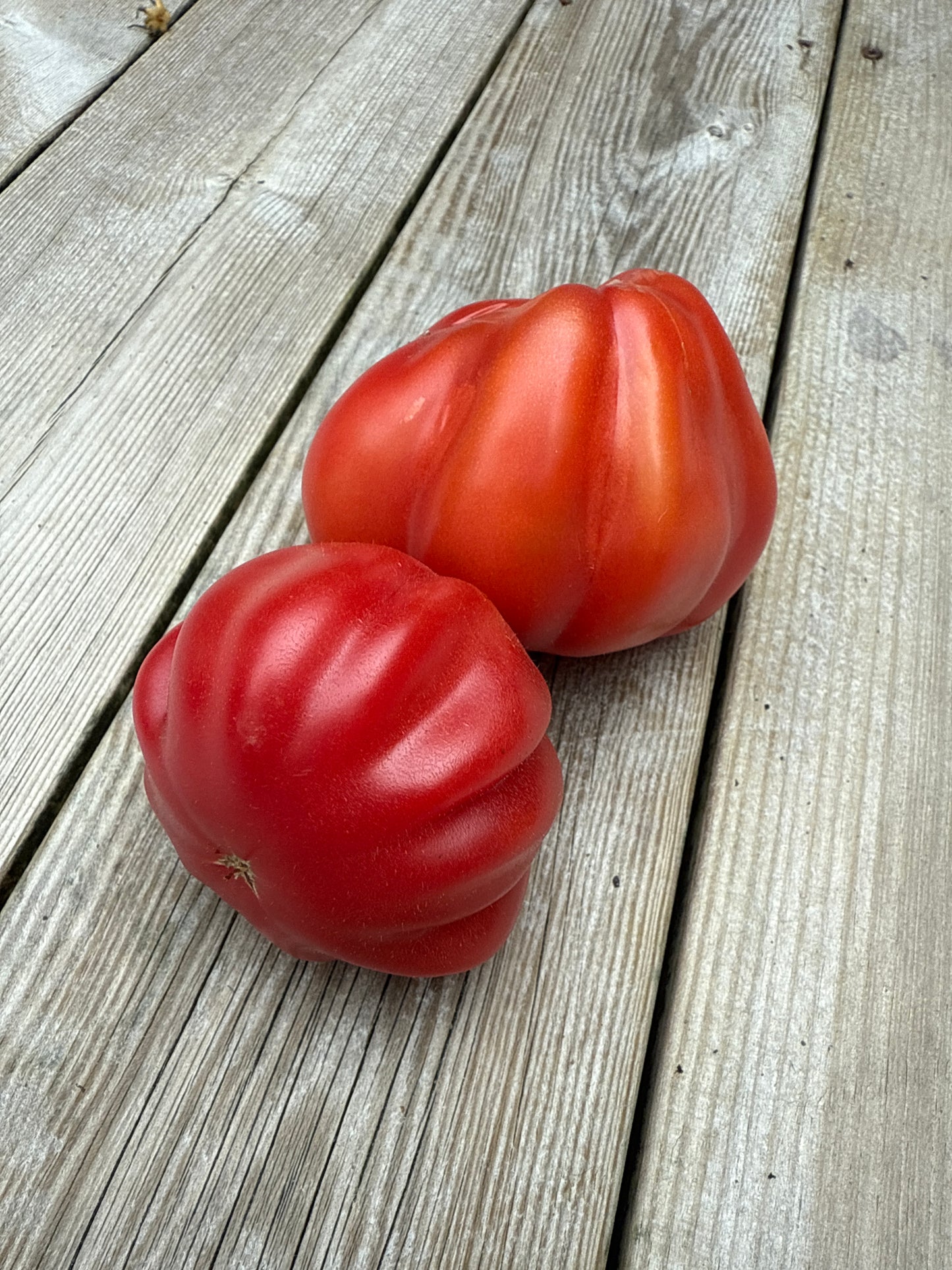 Côtelée De Valence