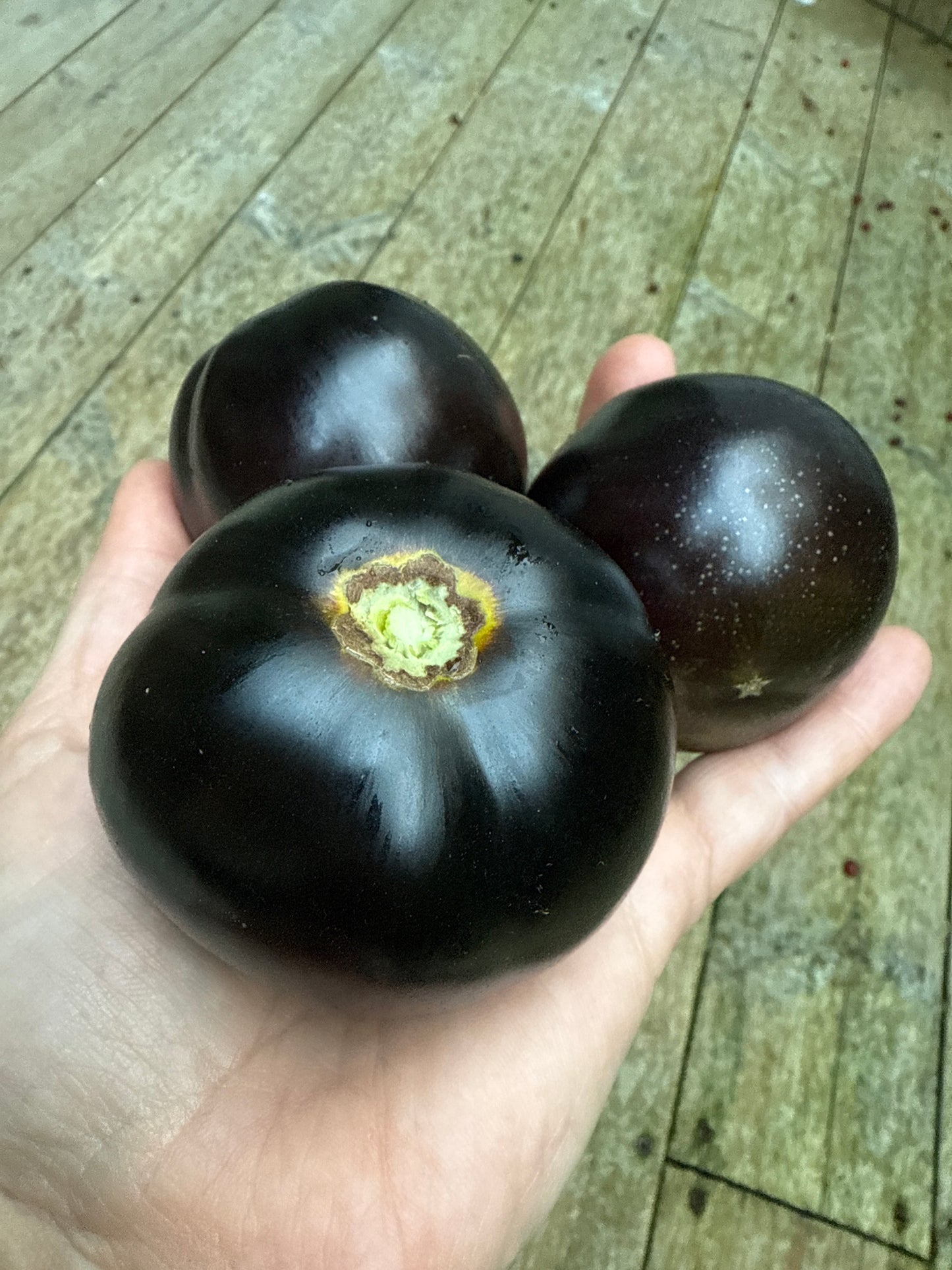 Cosmic Eclipse