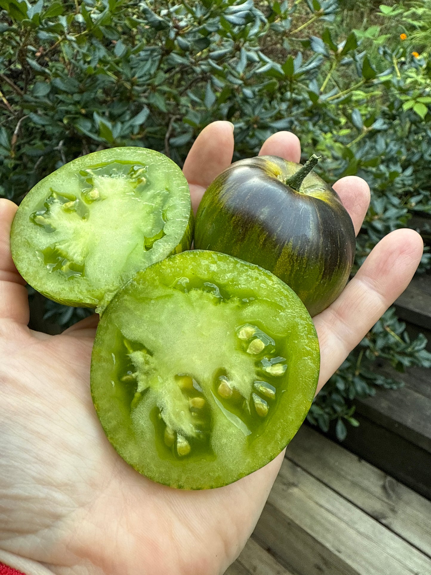 Xanadu Green Godess