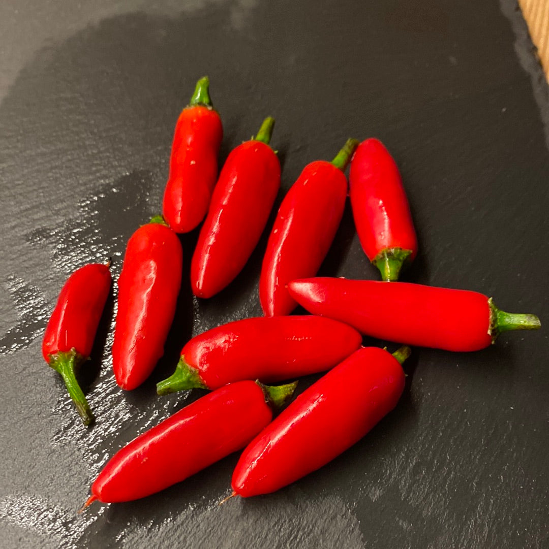 Serrano, chili