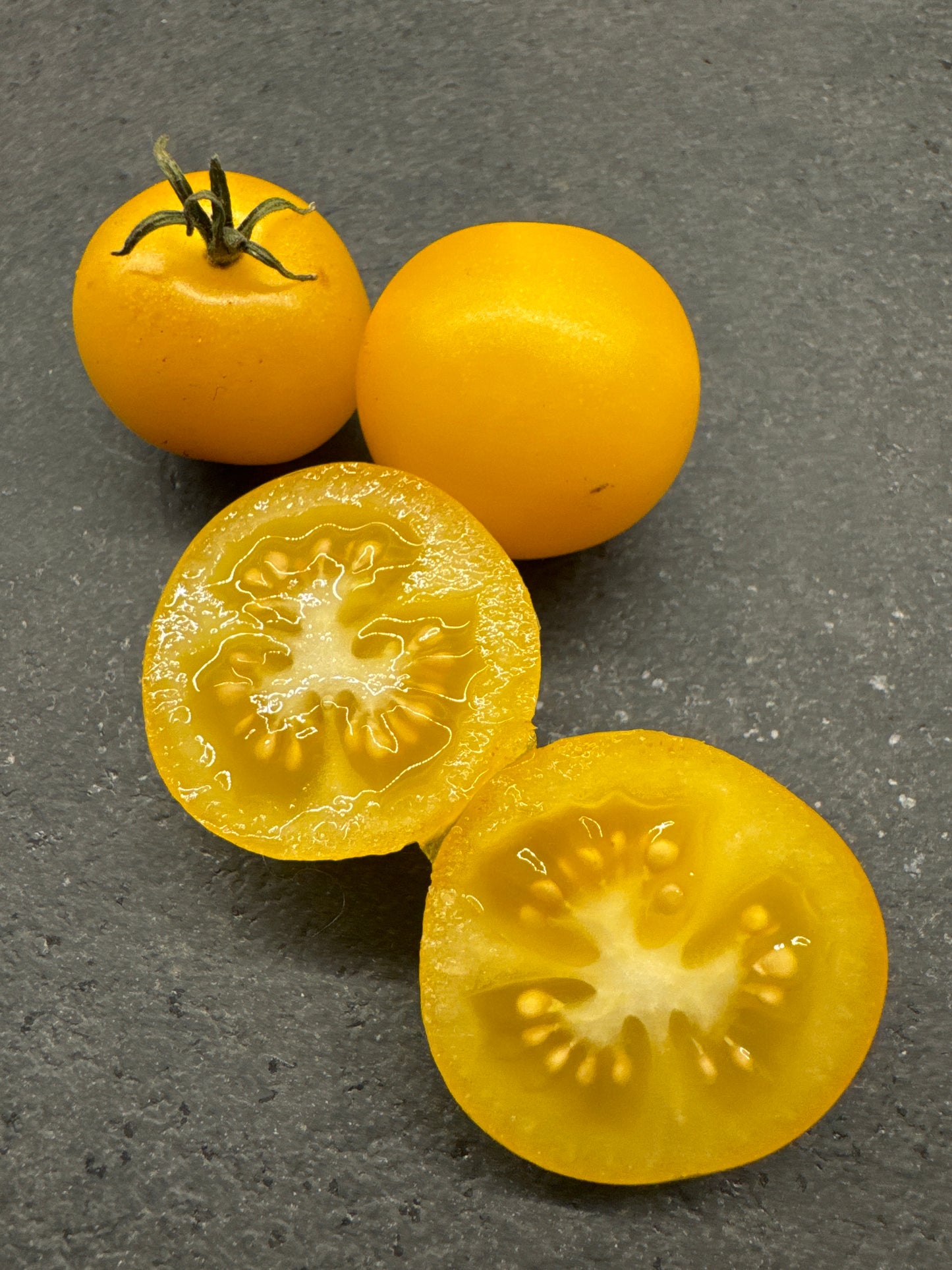 Rejina Yellow, Microbusk