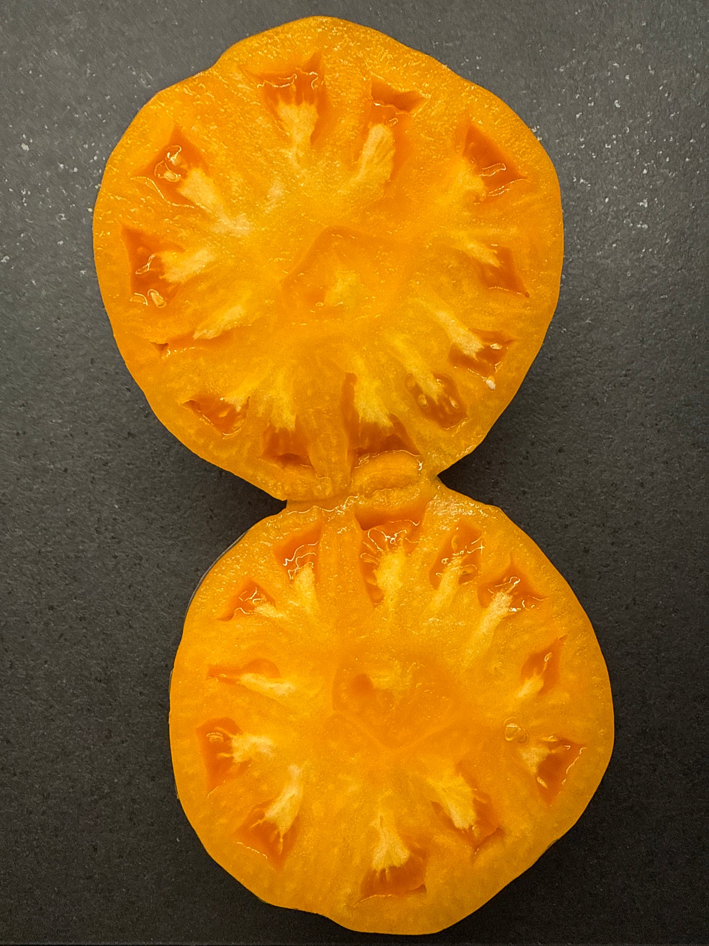 Apricot Brandywine