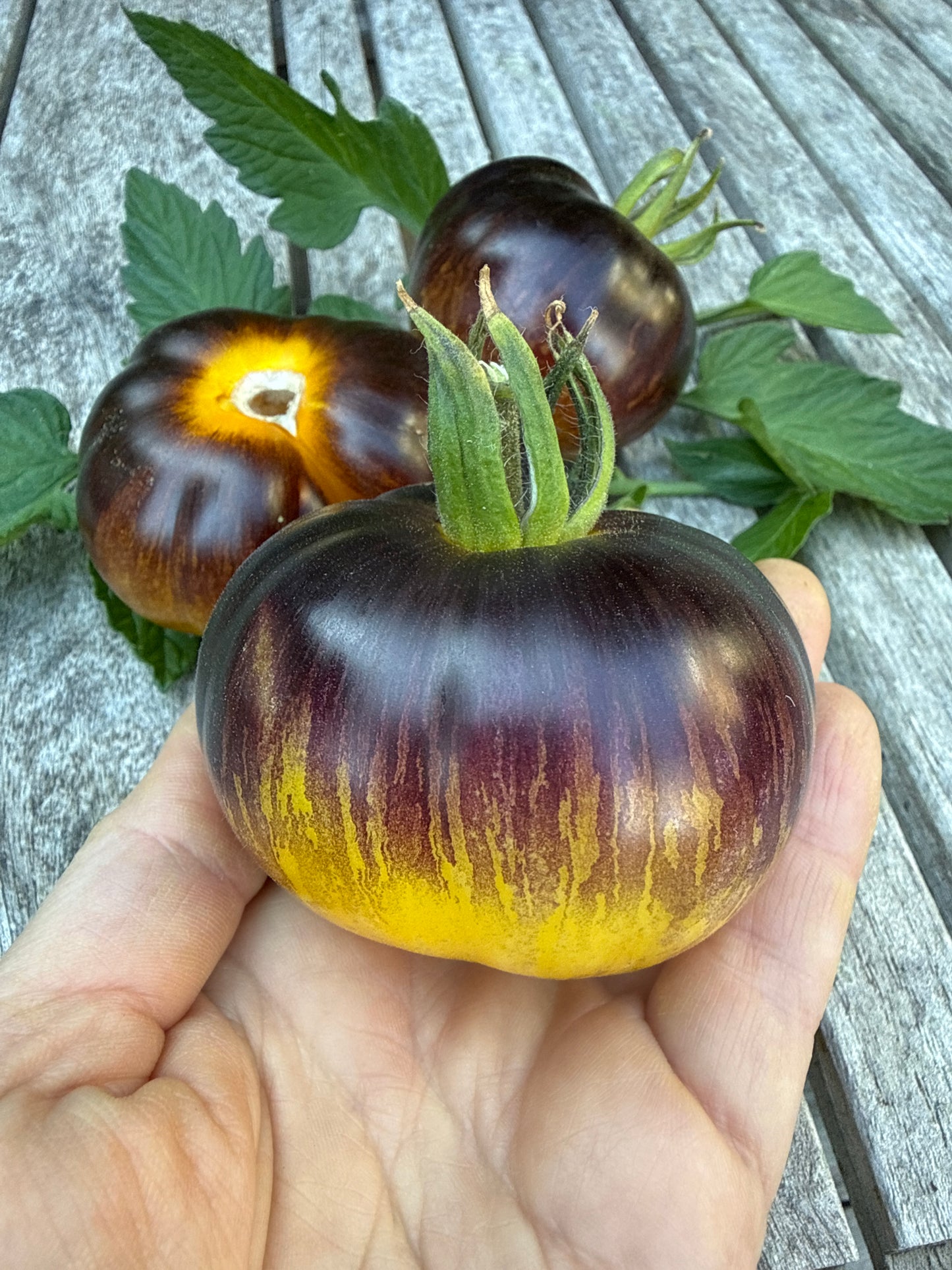Stripes of Yore