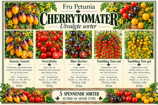 Cherrytomater