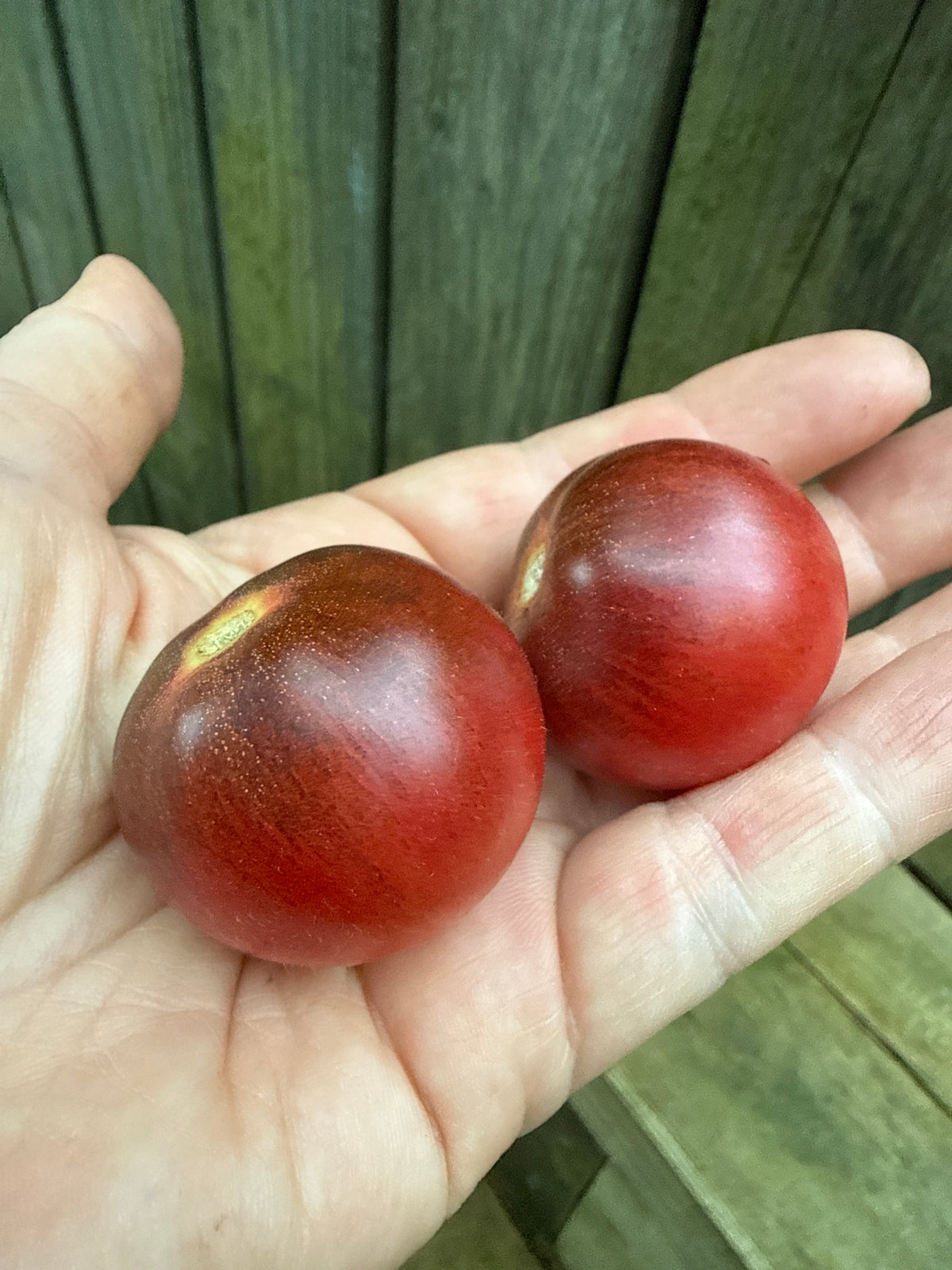 Raspberry burst