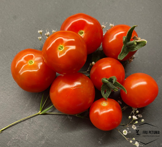 Cherrytomat ’Sweetbaby’
