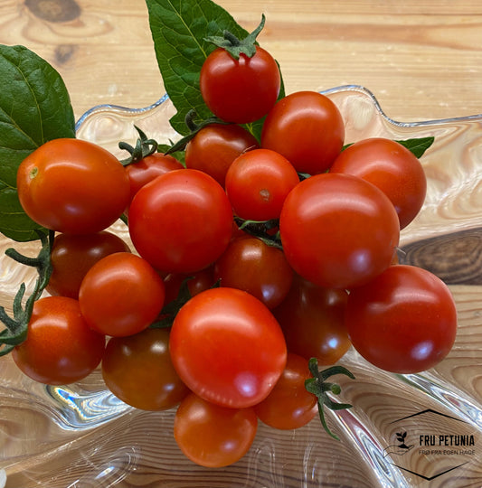 Iva`s red berry cherrytomat