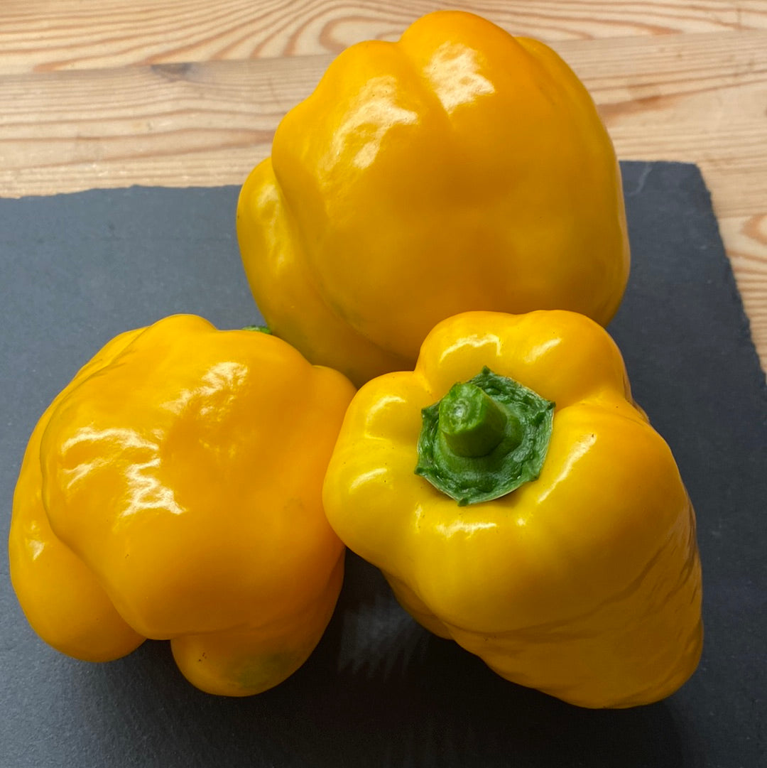 Paprika Yellow California Wonder